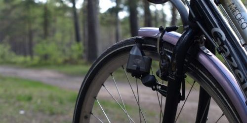 latvia-bike-route-our-bike-forest-road1-1-500×500